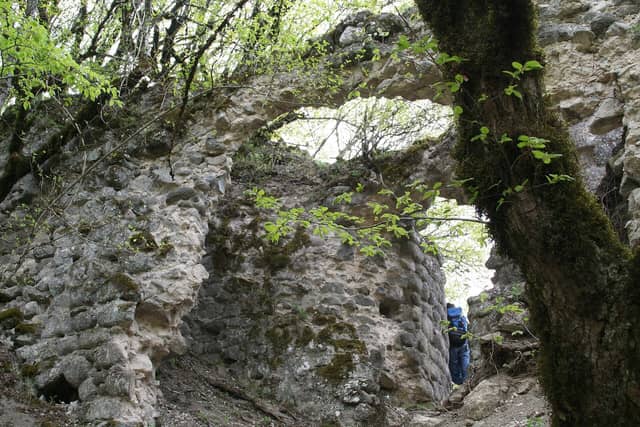 Ağaclar arasında Buğurt qalasının mamırlı daş divar qalıqları.