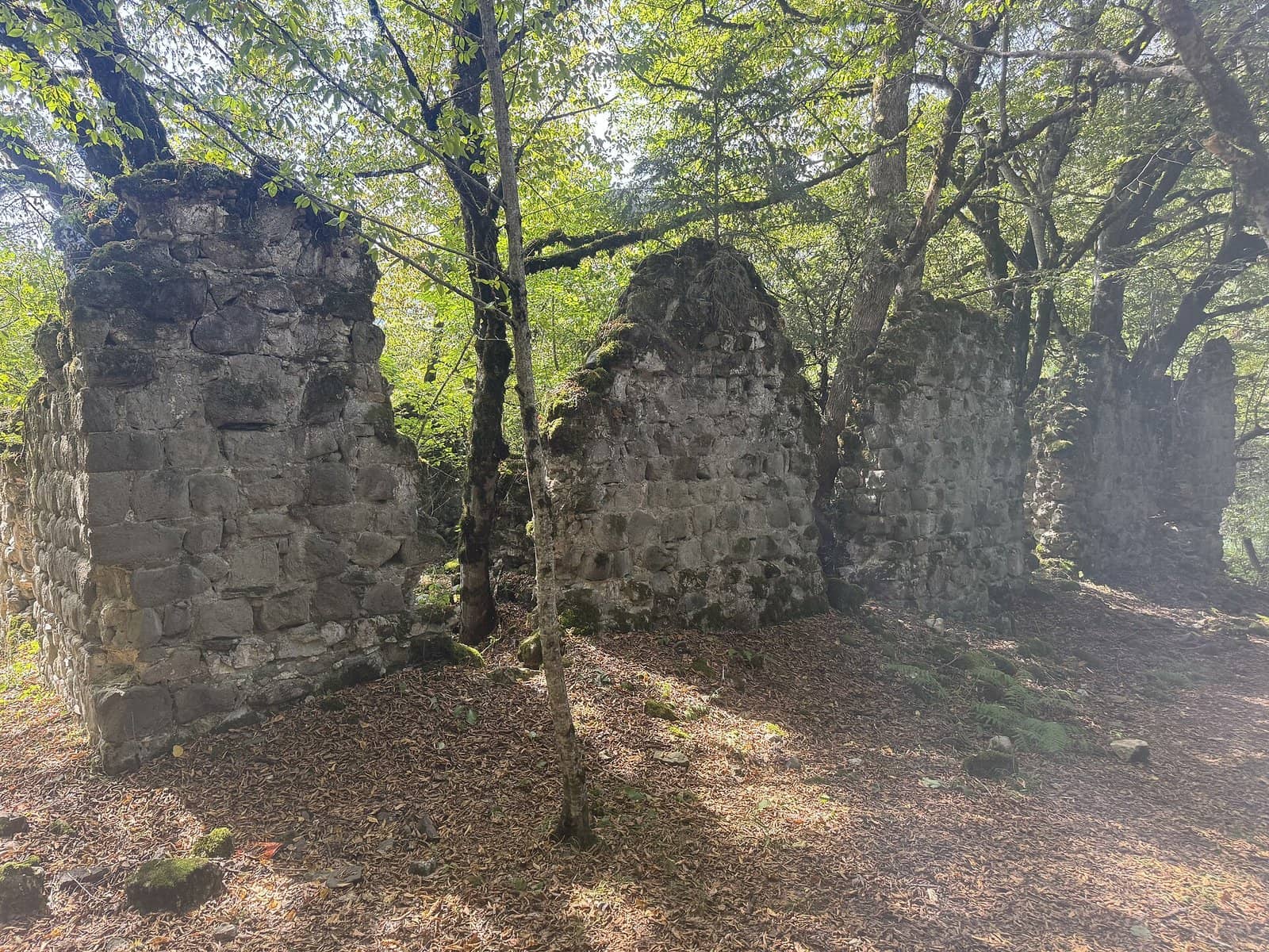 Sulut yaxınlığında meşədə Qırxotaq qalasının daş divar qalıqları.
