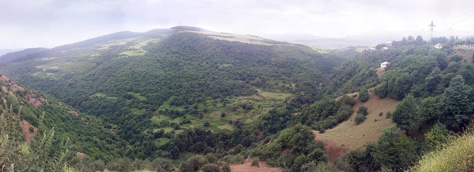 Lerik ətrafında meşə ilə örtülmüş dərə və dağ yamaclarının panoramik mənzərəsi.