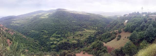 Lerik ətrafında meşə ilə örtülmüş dərə və dağ yamaclarının panoramik mənzərəsi.