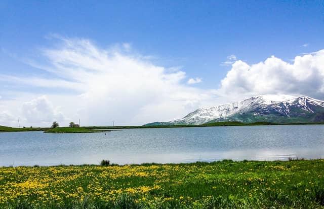 Batabat gölü: sahildə sarı çiçəkli çəmən, gölün ortasında kiçik yaşıl ada, arxada qarlı dağ və buludlar