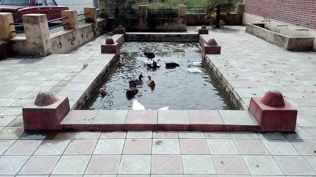 Ərçivandakı Yanar bulaq kompleksində plitə ilə əhatələnmiş hovuz və suda üzən ördəklər.