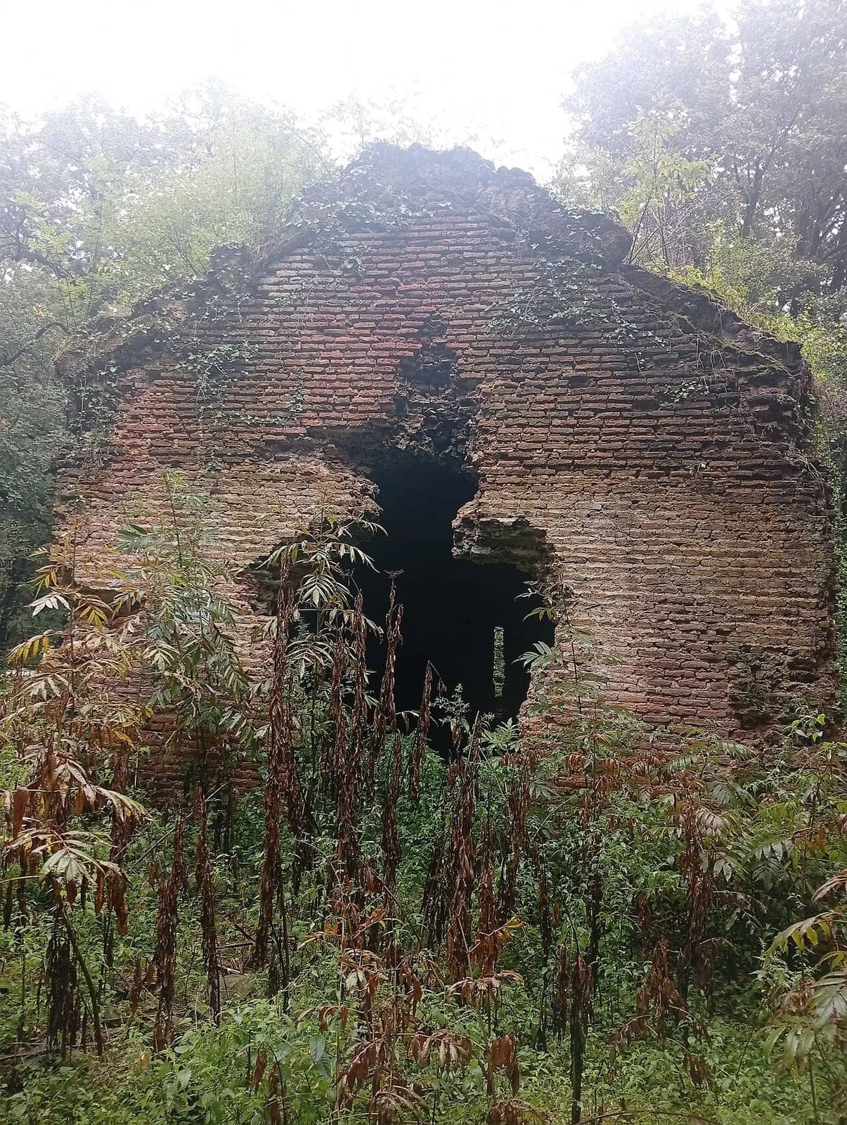 Ağaclar arasında Arılıqbinə monastırının kərpic kilsə qalığı.
