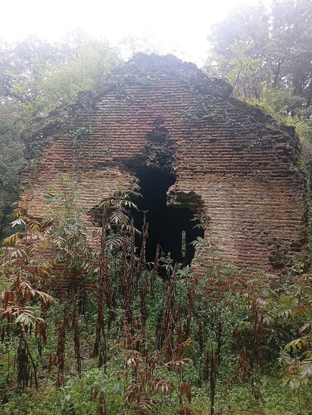 Ağaclar arasında Arılıqbinə monastırının kərpic kilsə qalığı.