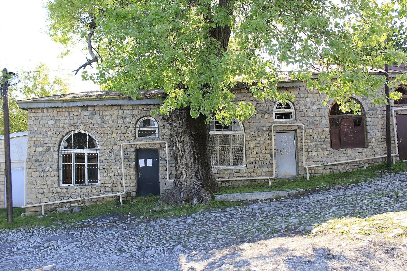 Basqalda daş bina və qarşısında qoca çinar ağacı, daş döşənmiş küçə
