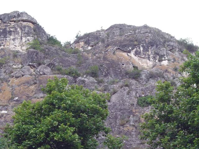 Damcılı mağarası yerləşən əhəngdaşı qayalıq və yamacdakı kollar