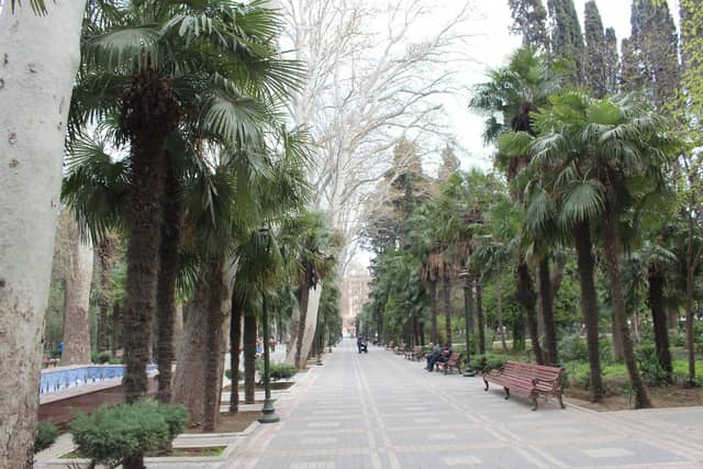 Gəncədə Xan bağı: palma və çinar ağacları arasında daş döşənmiş geniş xiyaban və skamyalar